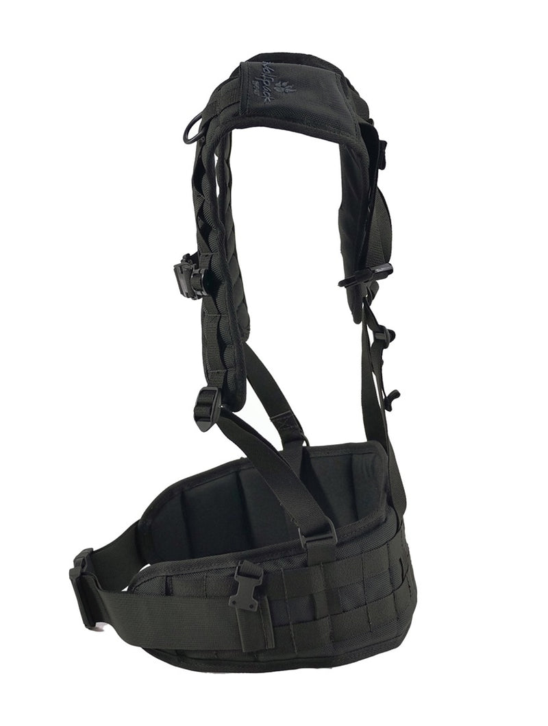Web-Gear Harness