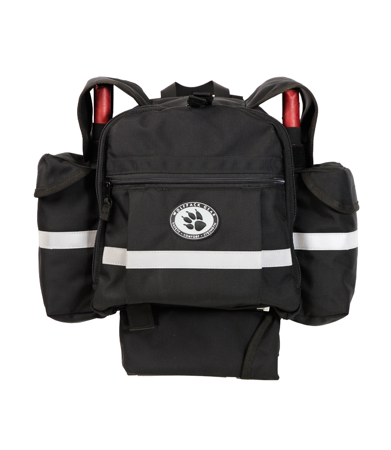 Detachable Day Pack